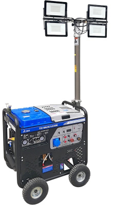Бензиновый генератор ТСС WALGG 5.0/200E